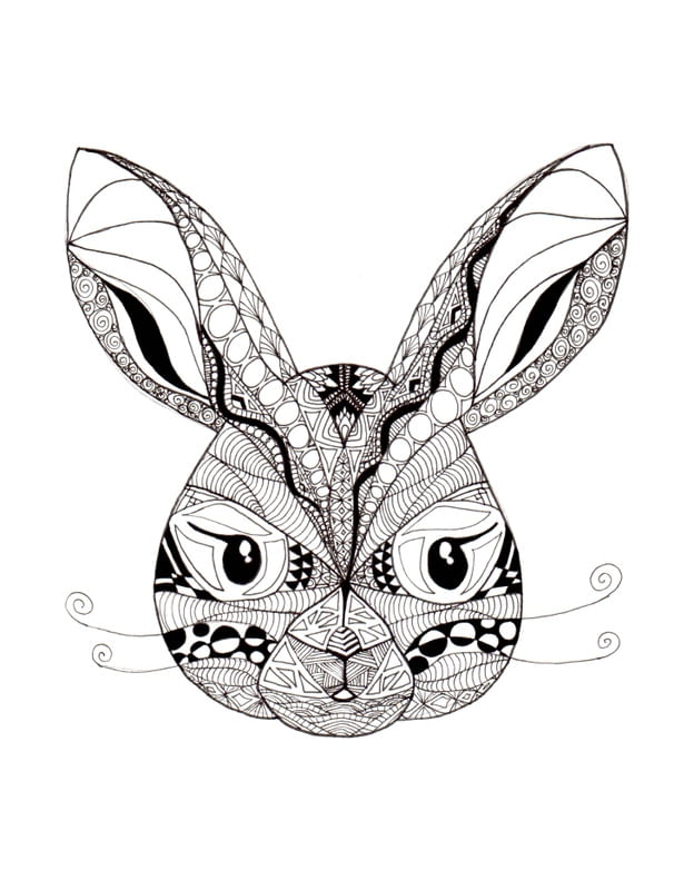 DOWN THE RABBIT HOLE