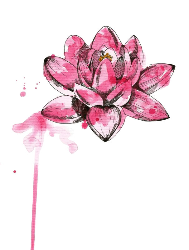 LOTUS FLOWER