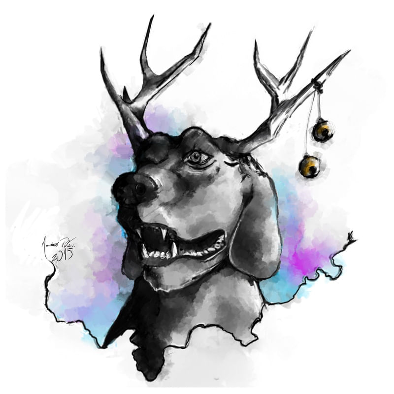 CACHORRO - GOLDEN GUIZO