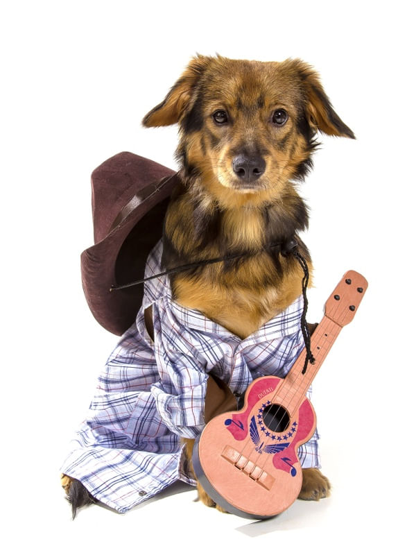 DOG MODELS - COUNTRY