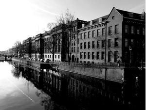AMSTERDAM BRILHO E CONTRASTE