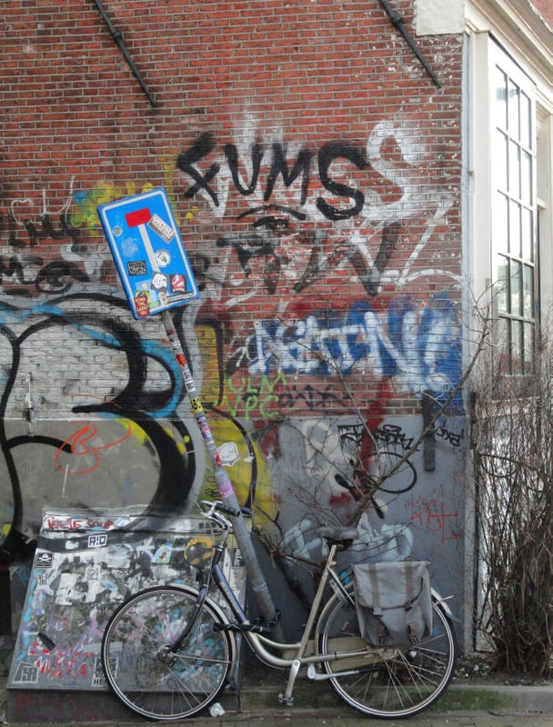 AMSTERDAM - FUMS