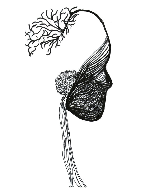 MENTE CALA