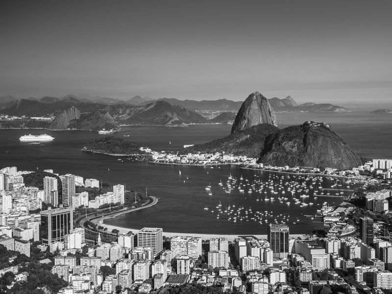 RIO 3