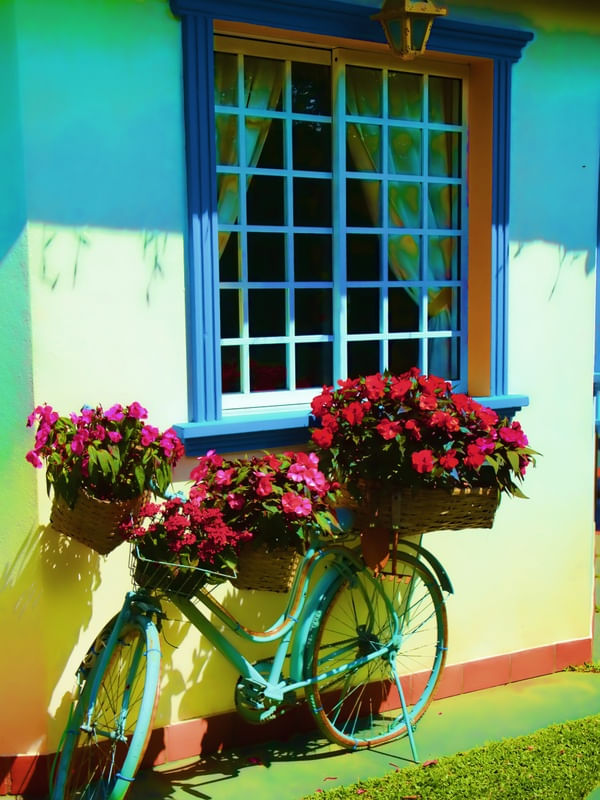 MONET 1