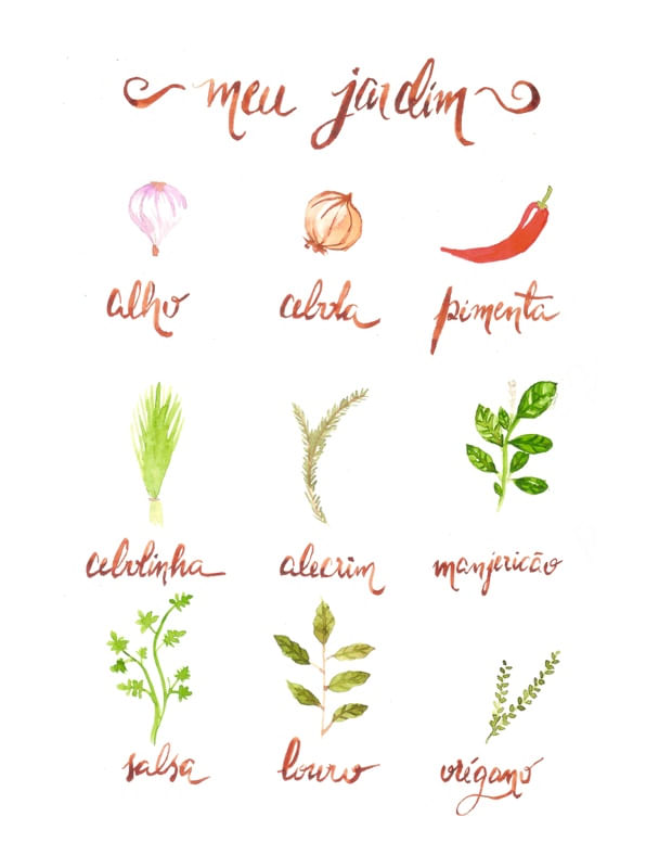 MEU JARDIM