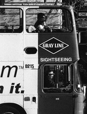 GRAY LINE