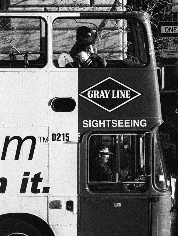 GRAY LINE