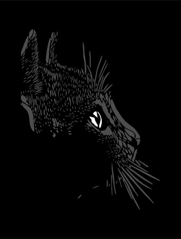 GATO DA SORTE