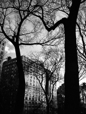 NY III