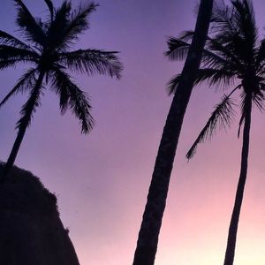 AQUILO ROXO