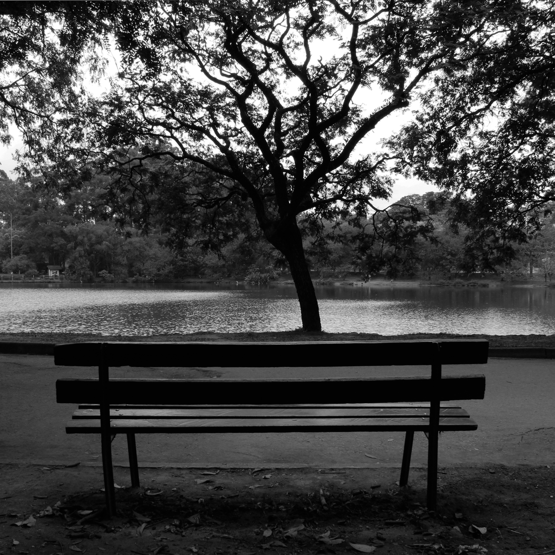 BANCO NO PARQUE