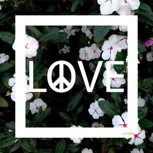 LOVE CHAPADA