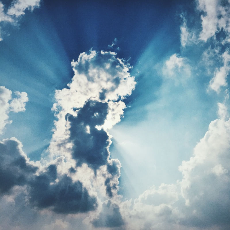SUNRAYS