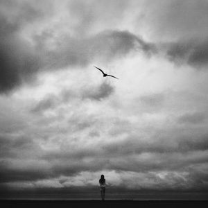 THE GIRL AND THE BIRD