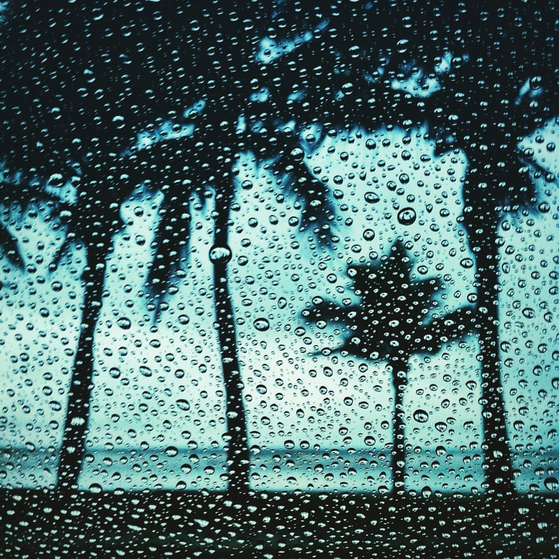 SUMMER DROPS
