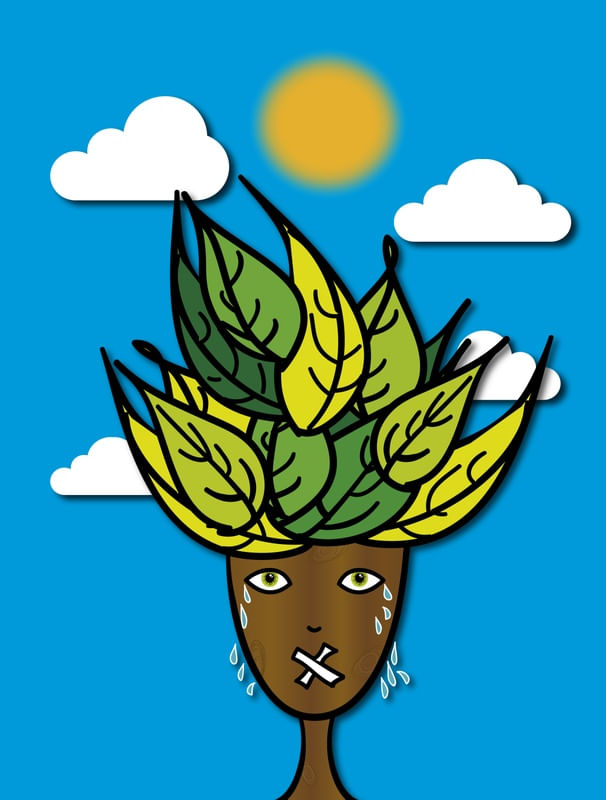 VOZ DA NATUREZA
