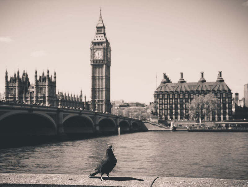 LONDON FEELINGS 2