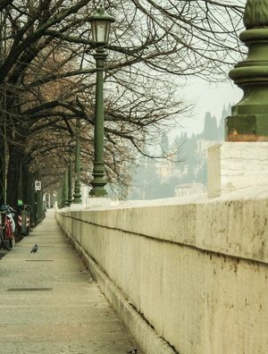 PERSPECTIVA DE INVERNO