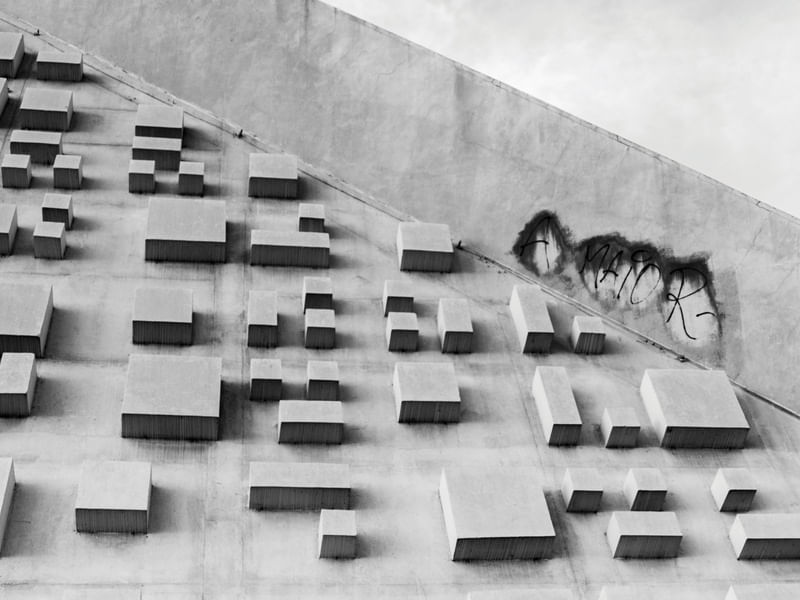 PARALELO XV