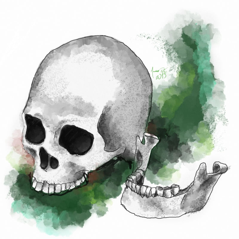 CAVEIRA EM AQUARELA IV