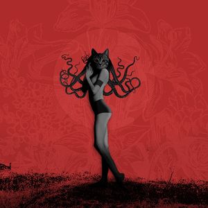 MULHER GATO 2