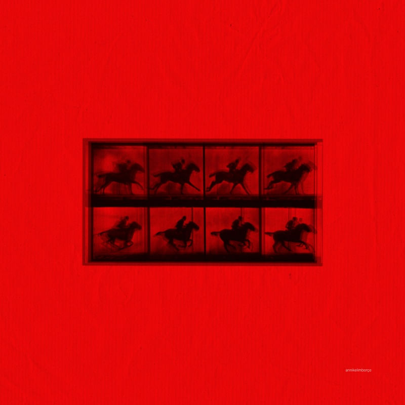 ANDANTE RED