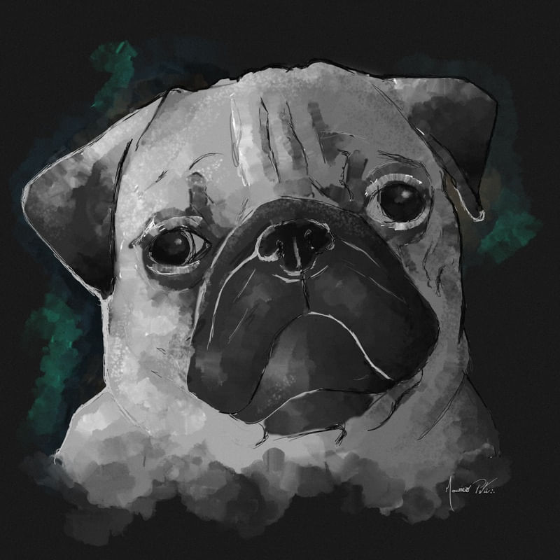 PUG EM AQUARELA I