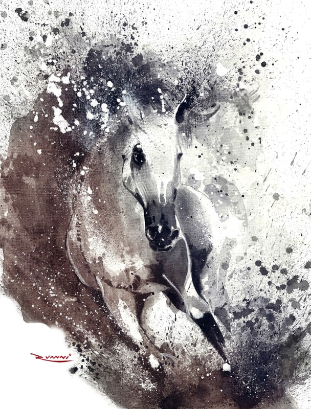 ARABIAN STALLION