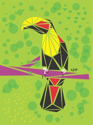 TOUCAN