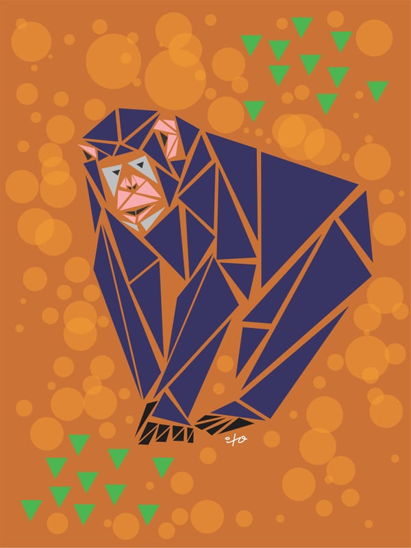 CHIMPANZEE