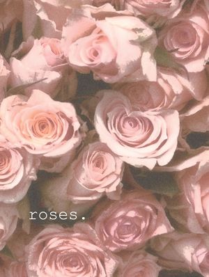 ROSES ROSAS