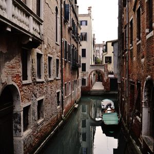 LIV | VENEZA II