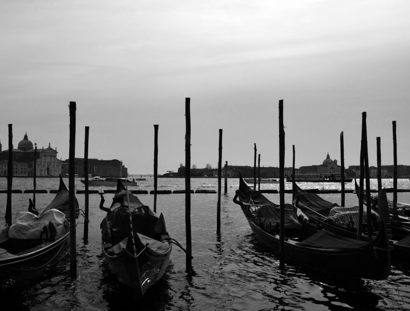 LIV | VENEZA III