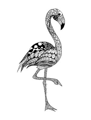 FLAMINGO NEGRO