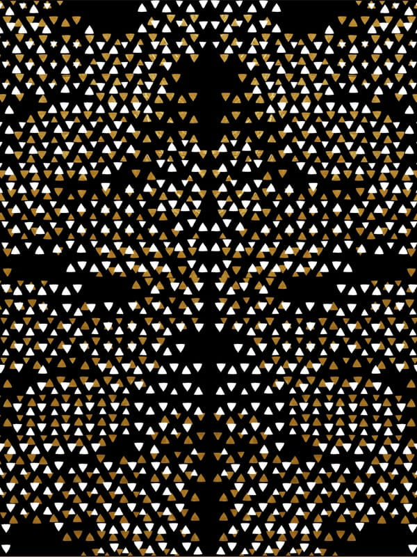 STARRY NIGHT