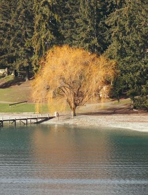 QUEENSTOWN I
