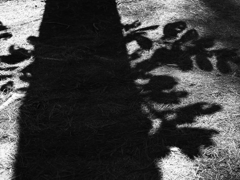 FORMAS E LUZES DA NATUREZA I