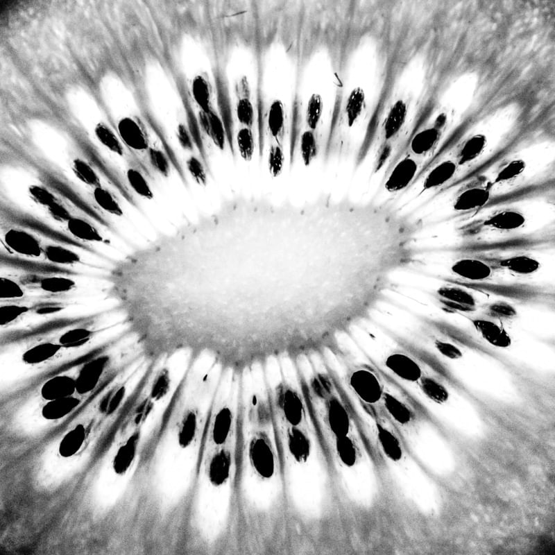 KIWI EM PB