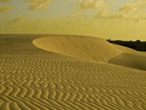 SAND CITY