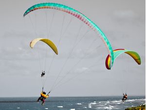 TRIO VOADOR