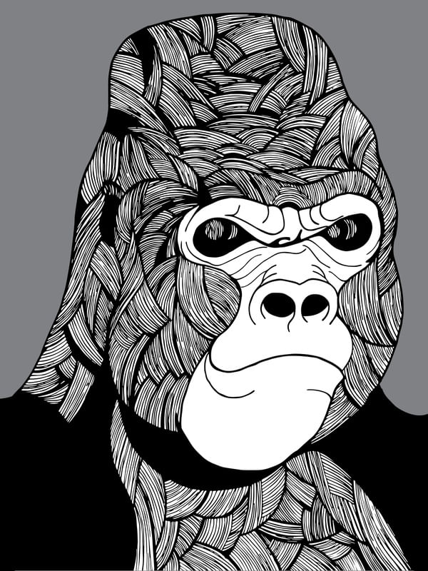 BLACK GORILA