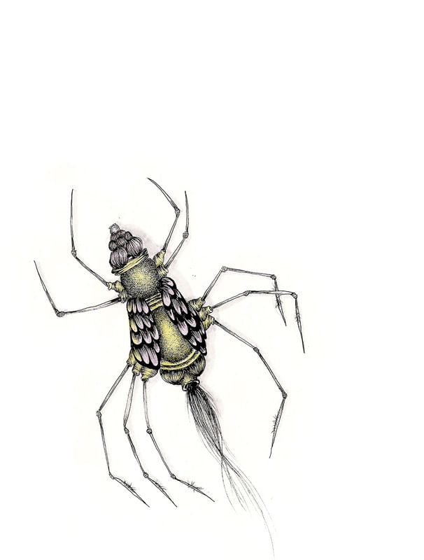 MARGALI POUSA