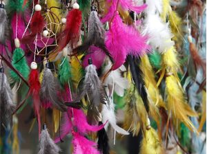 PLUMAS