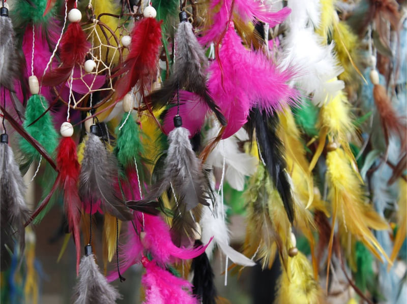 PLUMAS