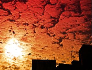 SOL NO CÉU DE FOGO