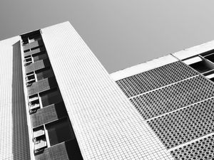 PARALELO XIX