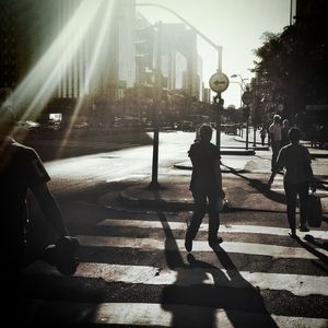 SOMBRAS PAULISTANAS