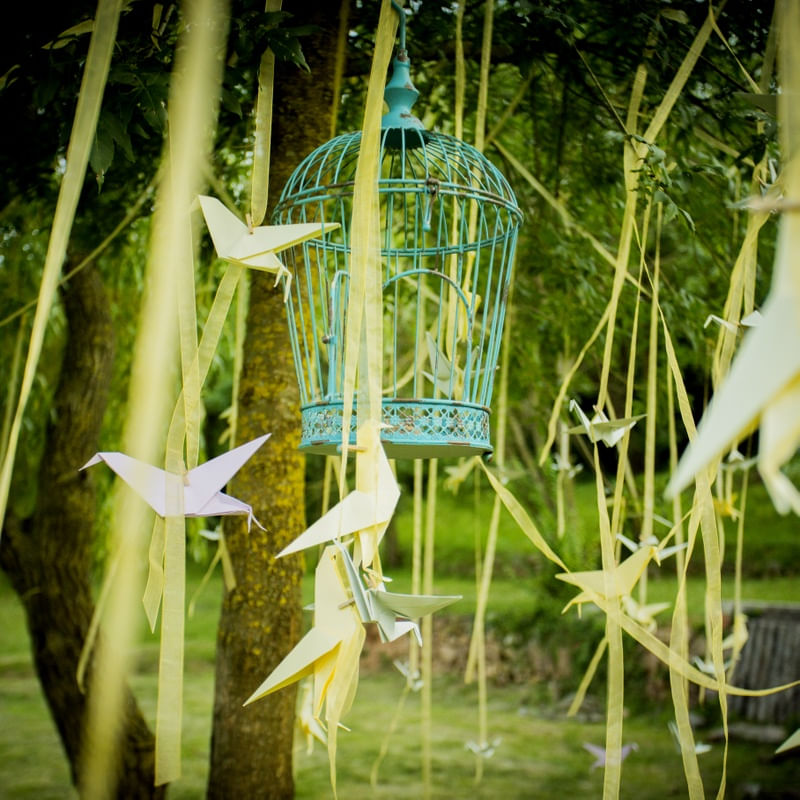 TSURU E GAIOLA
