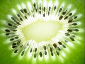 KIWI